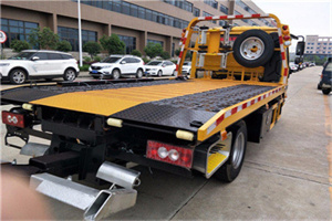 岳塘区24小时汽车送油服务公司